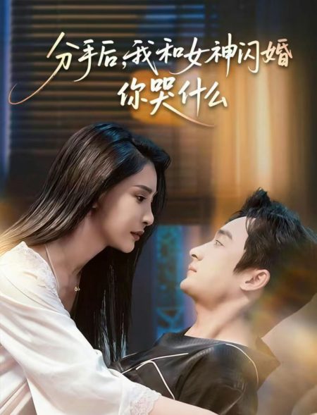 《分手后，我和女神闪婚你哭什么》-VIP部落