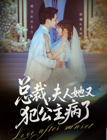 《总裁，夫人她又犯公主病了》-VIP部落