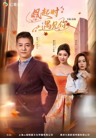 《风起时遇见你》-VIP部落