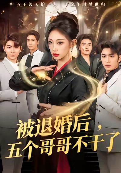 《被退婚后，五个哥哥不干了》-VIP部落