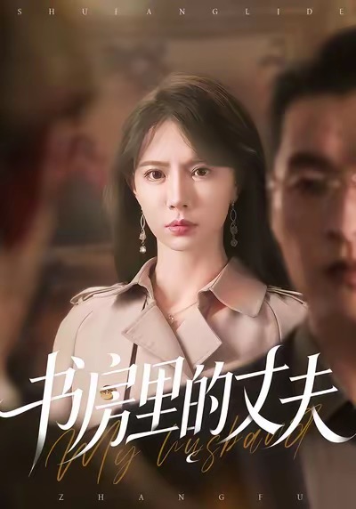 《书房里的丈夫》-VIP部落