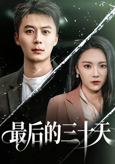《最后的三十天》-VIP部落