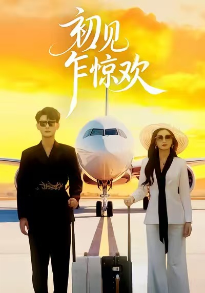 《初见乍惊欢》-VIP部落