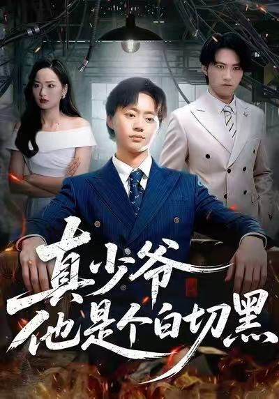 《真少爷他是个白切黑》-VIP部落