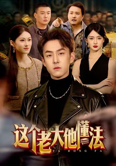 《这个老大他懂法》-VIP部落