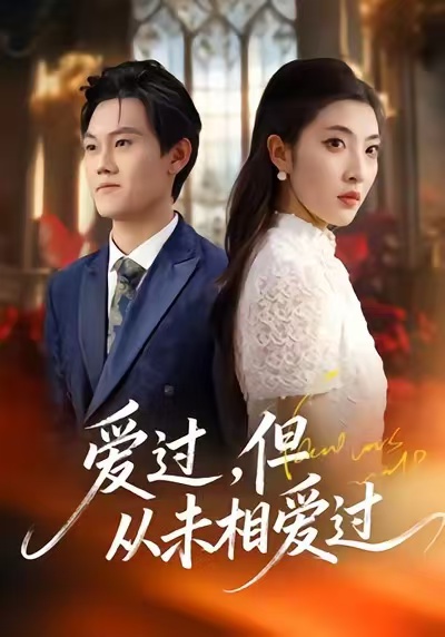 《爱过，但从未相爱过》-VIP部落