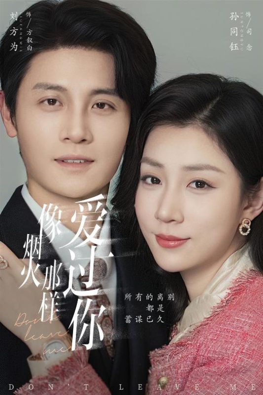《像烟火那样爱过你》-VIP部落