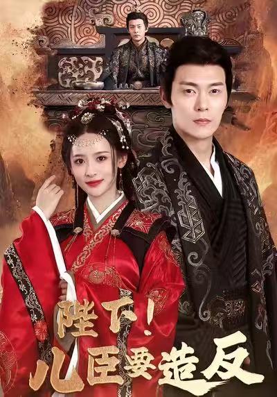 《陛下！儿臣要造反》-VIP部落