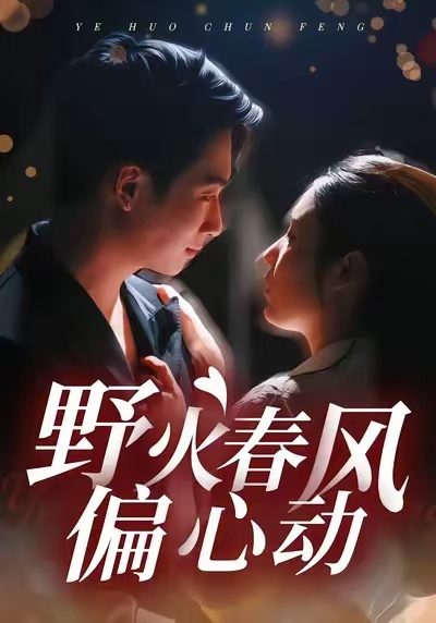 《野火春风偏心动》-VIP部落