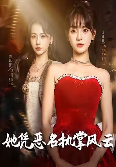 《她凭恶名执掌风云》-VIP部落