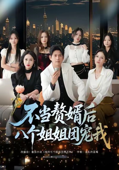 《不当赘婿后八个姐姐团宠我》-VIP部落