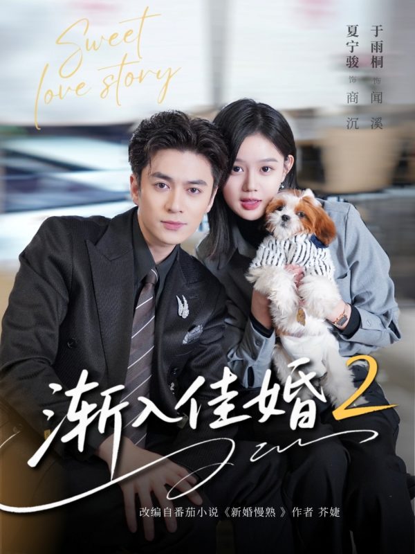 《渐入佳婚2》-VIP部落