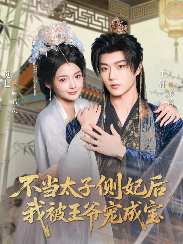 《不当太子侧妃后，我被王爷宠成宝2026》-VIP部落