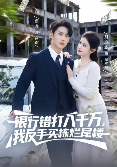 《银行错打八千万，我反手买栋烂尾楼》-VIP部落
