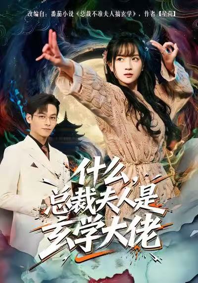 《什么，总裁夫人是玄学大佬》-VIP部落
