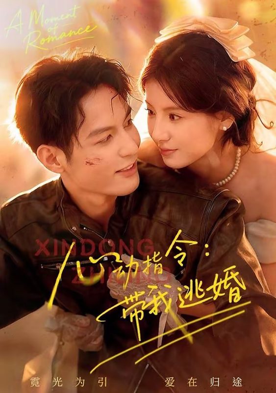 《心动指令：带我逃婚》-VIP部落