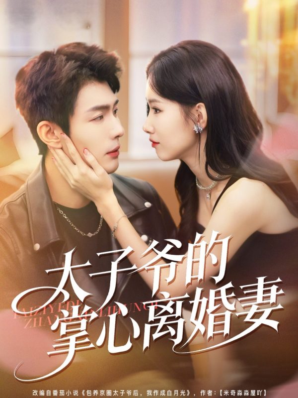 《太子爷的掌心离婚妻》-VIP部落