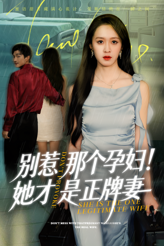 《别惹那个孕妇她才是正牌妻》-VIP部落