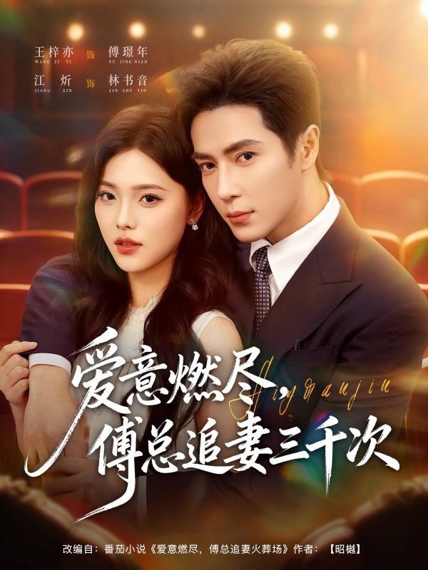 《爱意燃尽，傅总追妻三千次》-VIP部落
