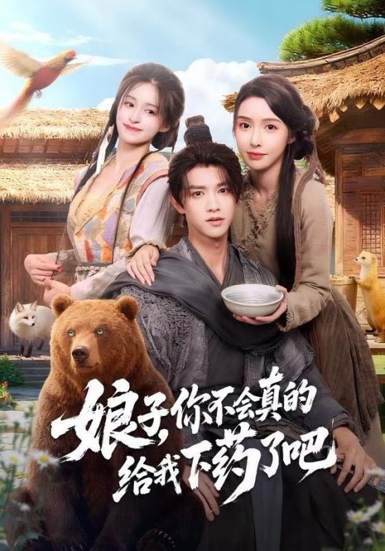 《娘子，你不会真的给我下药了吧》-VIP部落