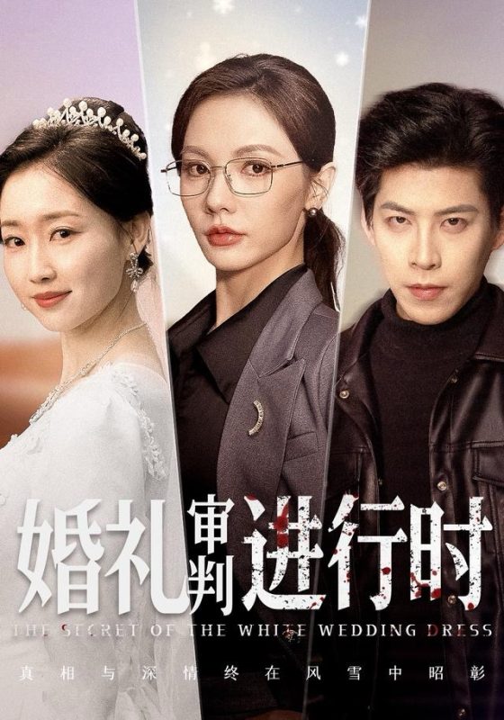 《婚礼审判进行时》-VIP部落