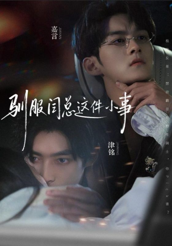 《驯服闫总这件小事》-VIP部落