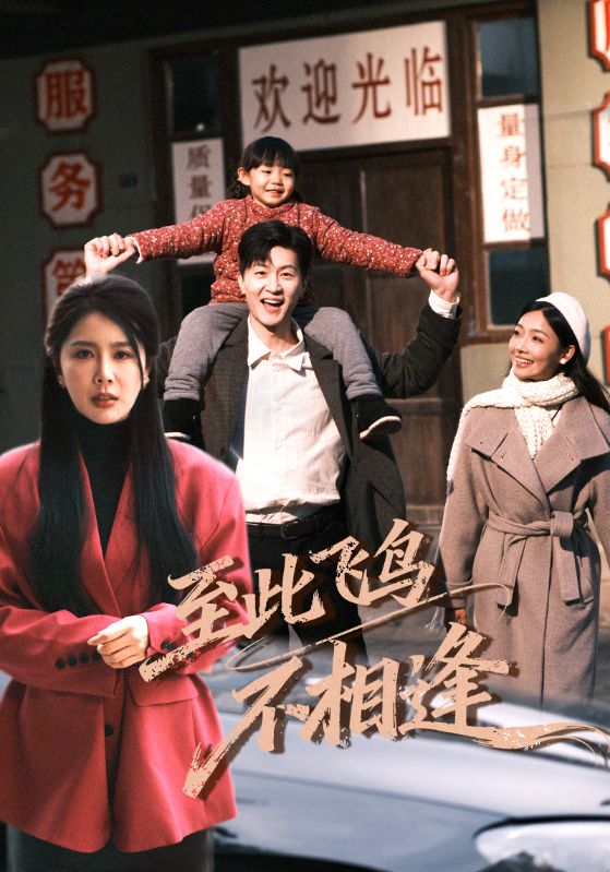 《至此飞鸟不相逢》-VIP部落