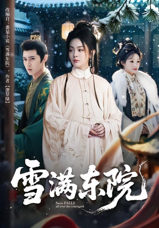 《雪满东院》-VIP部落
