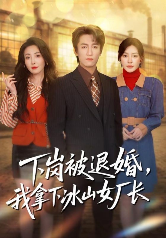 《下岗被退婚，我拿下冰山女厂长》-VIP部落