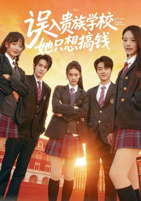 《误入贵族学校，她只想搞钱》-VIP部落