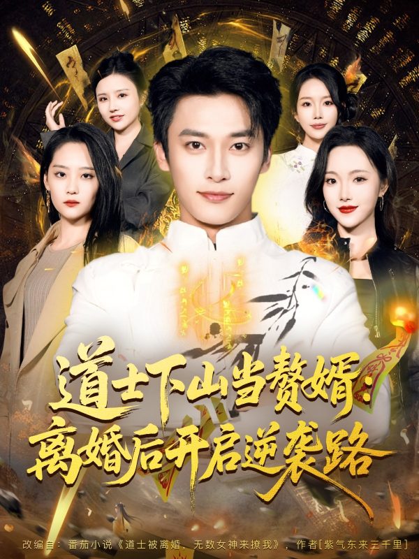 《道士下山当赘婿：离婚后开启逆袭路》-VIP部落