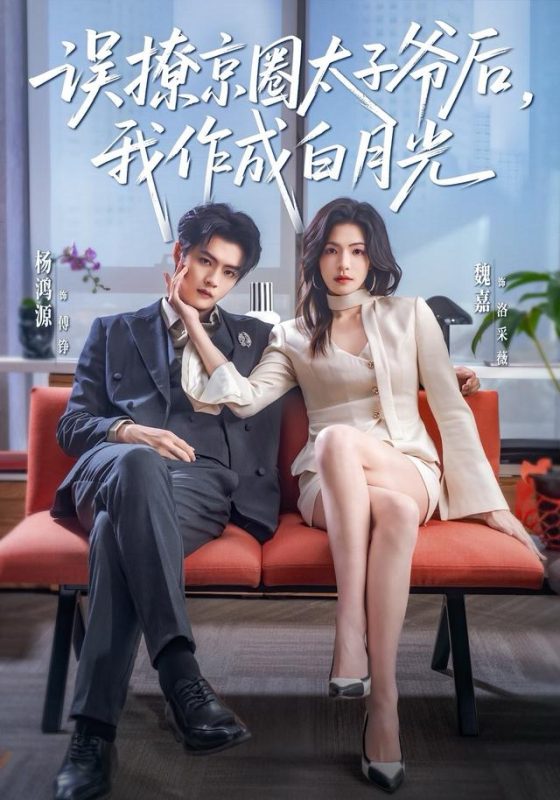 《误撩京圈太子爷后，我作成白月光》-VIP部落