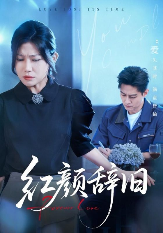 《红颜辞旧》-VIP部落