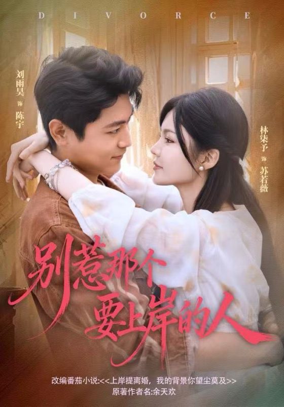 《别惹那个要上岸的人》-VIP部落