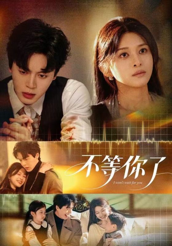 《不等你了》-VIP部落