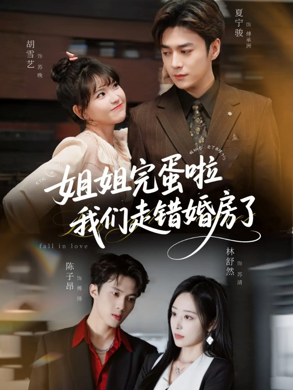 《姐姐完蛋啦我们走错婚房了》-VIP部落