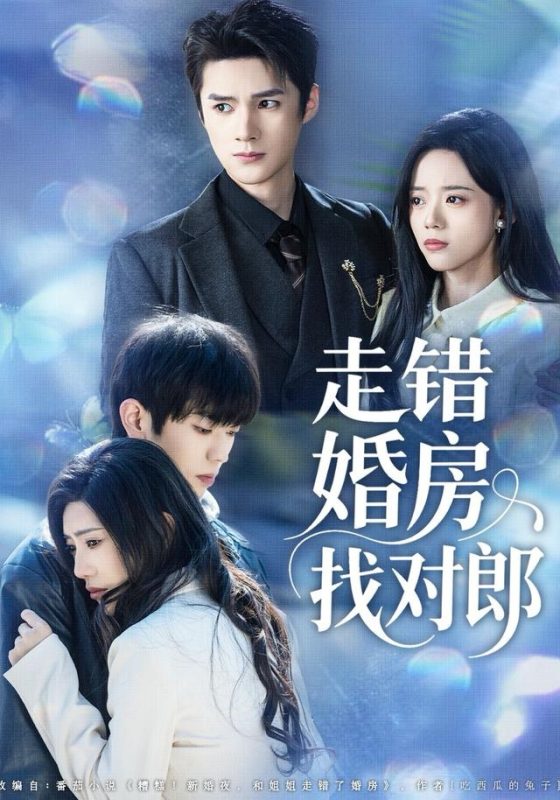《走错婚房找对郎》-VIP部落