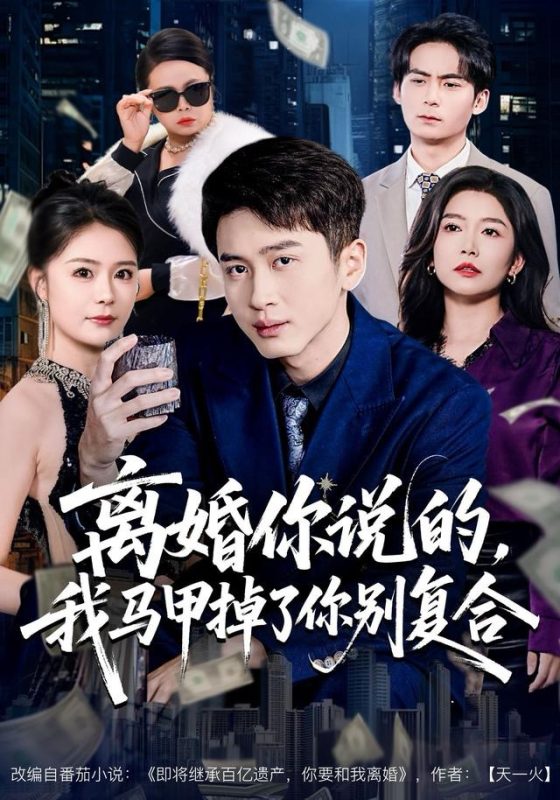 《离婚你说的，我马甲掉了你别复合》-VIP部落