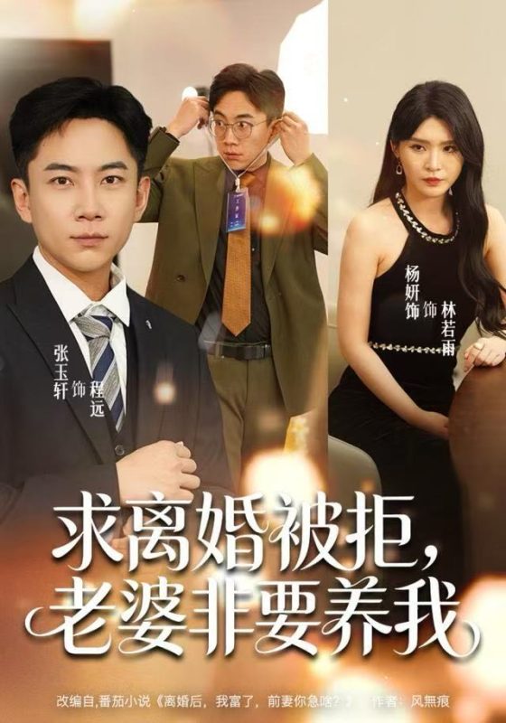 《求离婚被拒，老婆非要养我》-VIP部落
