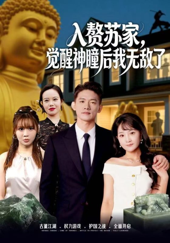《入赘苏家，觉醒神瞳后我无敌了》-VIP部落