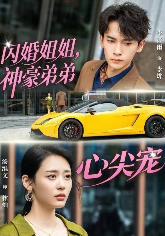 《闪婚姐姐，神豪弟弟心尖宠》-VIP部落