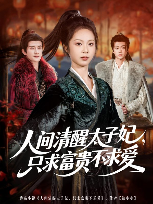 《人间清醒太子妃，只求富贵不求爱》-VIP部落