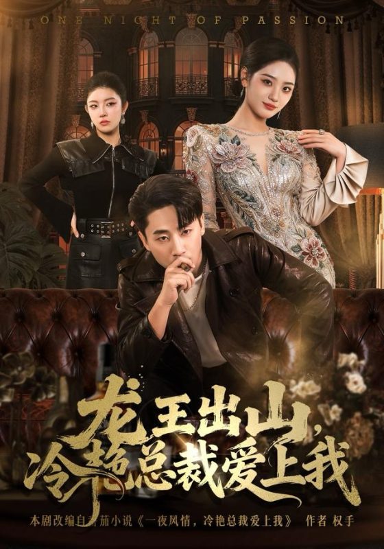 《龙王出山，冷艳总裁爱上我》-VIP部落