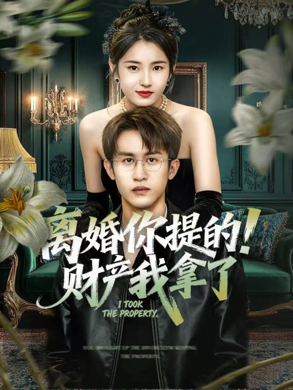 《离婚你提的！财产我拿了》-VIP部落