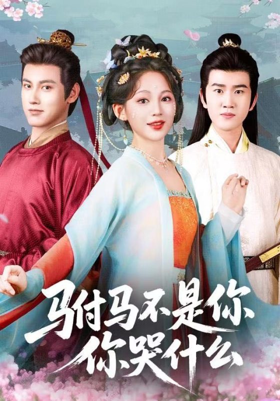 《驸马不是你，你哭什么》-VIP部落