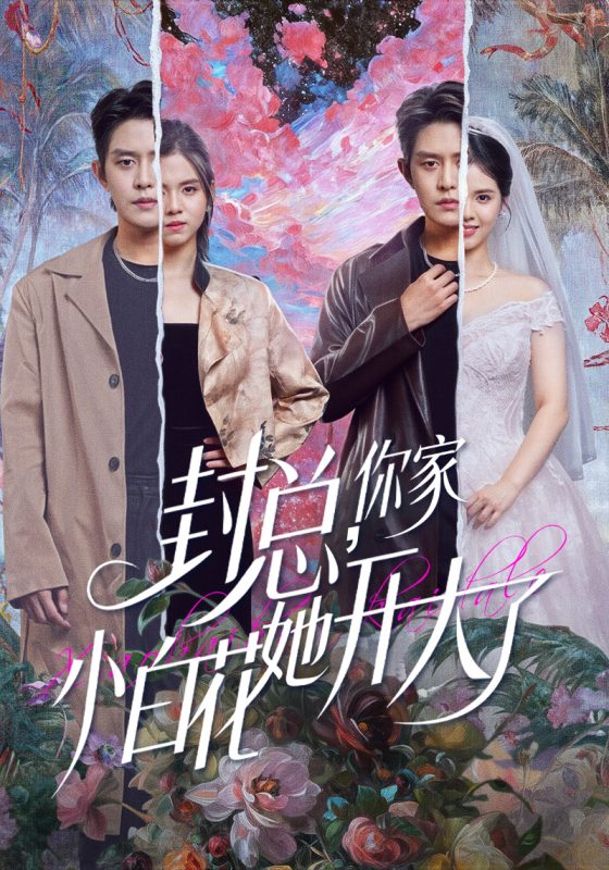 《封总，你家小白花她开大了》-VIP部落