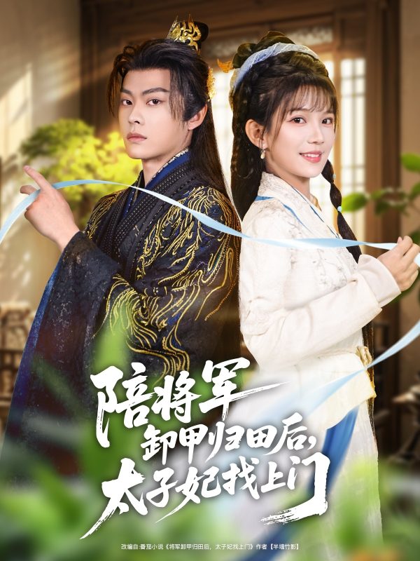 《陪将军卸甲归田后，太子妃找上门》-VIP部落