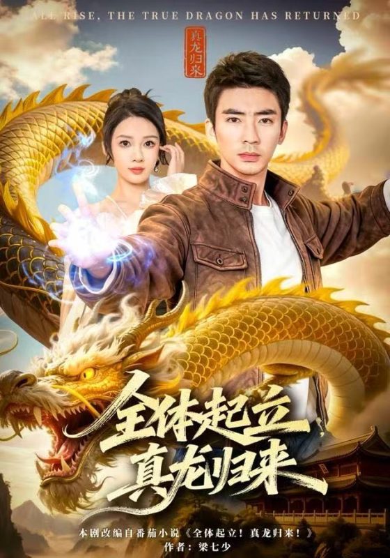 《全体起立，真龙归来》-VIP部落
