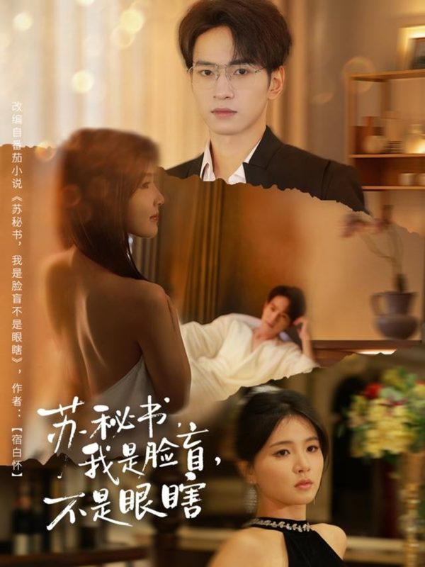 《苏秘书我是脸盲不是眼瞎》-VIP部落