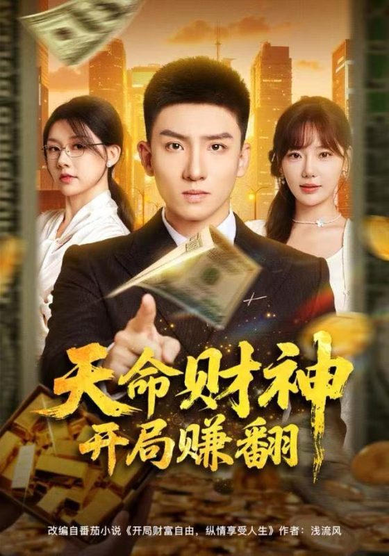 《天命财神开局赚翻》-VIP部落